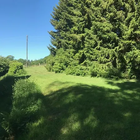 Waldidyll Holiday home *